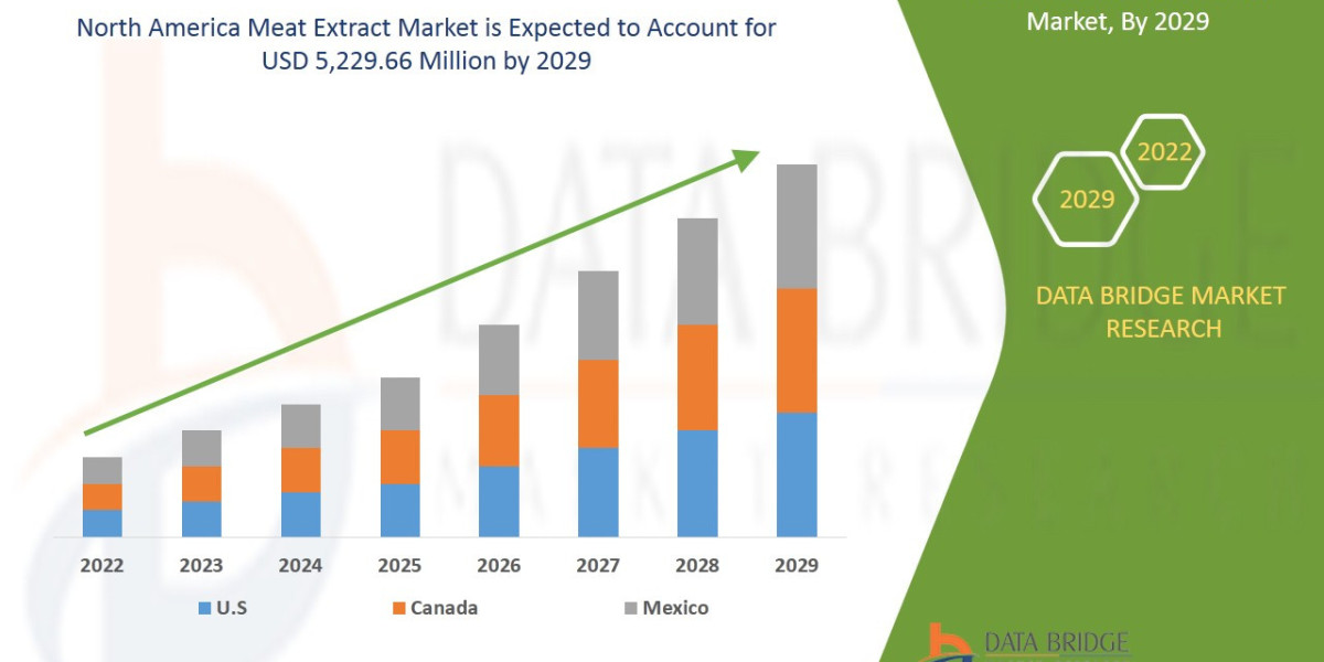 North America Meat Extract Market Business Shares and Outlook 2029