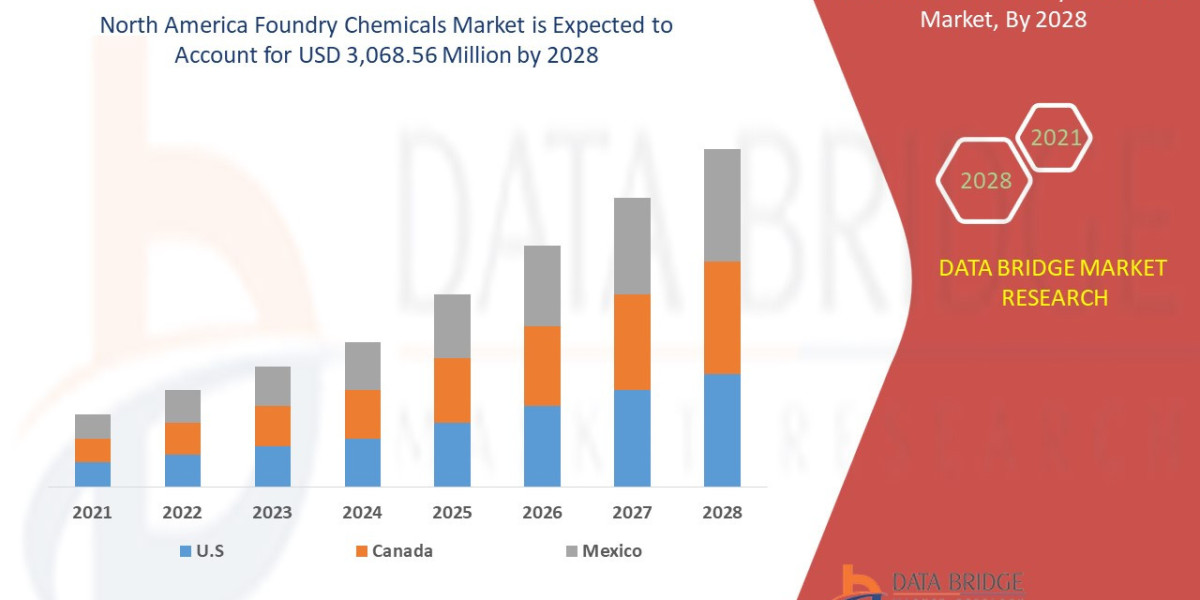North America Foundry Chemicals Market Business Shares and Outlook 2028