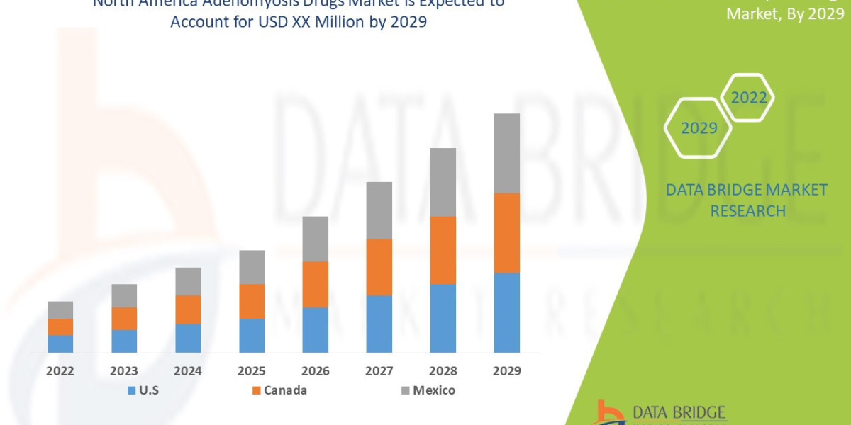 North America Adenomyosis Drugs Market Business Shares and Outlook 2029