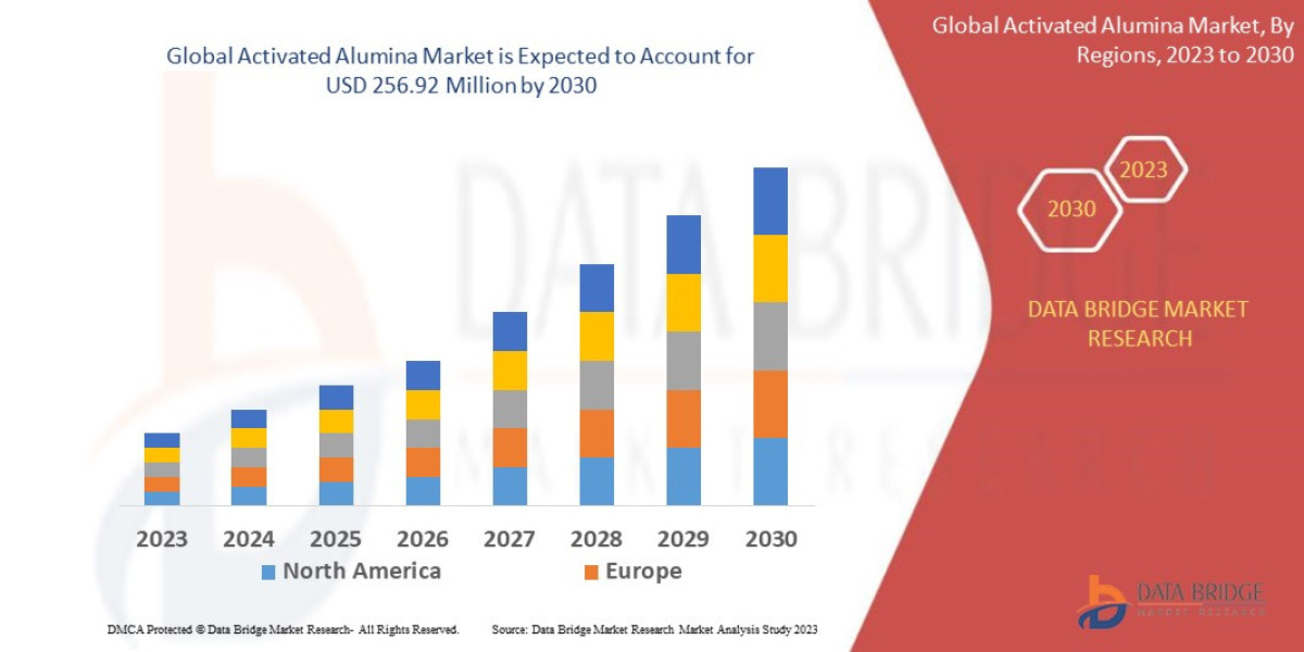 Activated Alumina Market Target Audience, Demand Pool, Region and Territory
