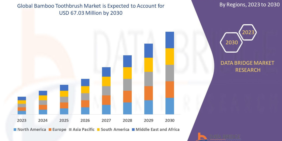 Bamboo Toothbrush Market Target Audience, Demand Pool, Region and Territory